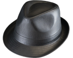 Henschel Leather Fedora Hat